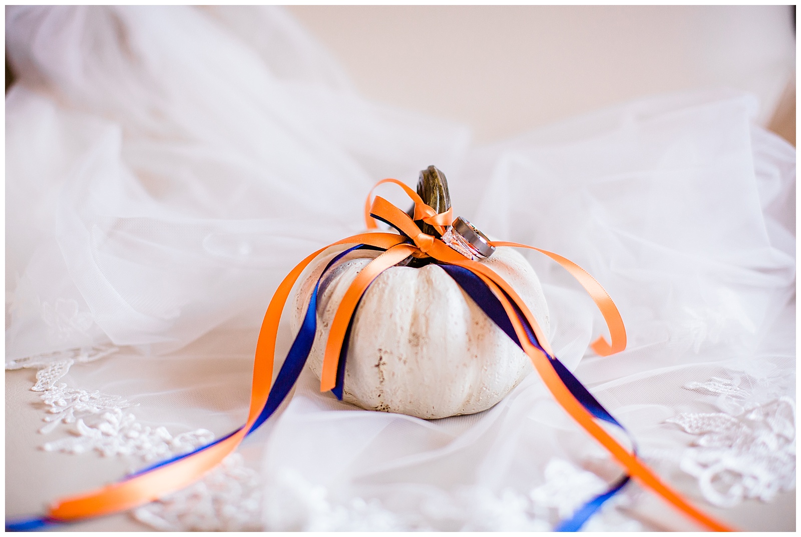 White pumpkin sitting on wedding veil with orange and blue ribbons tied around it.