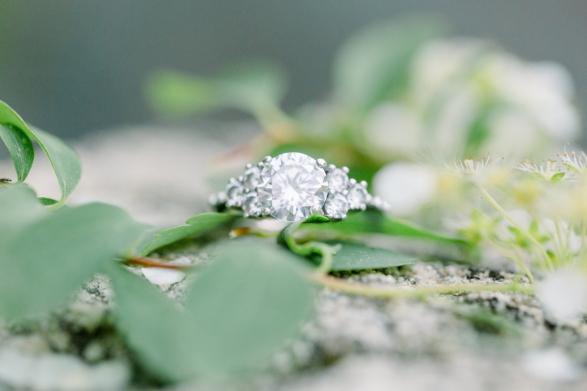 Engagement ring with blossoms on a rock during Grand Traverse Bay engagement session.