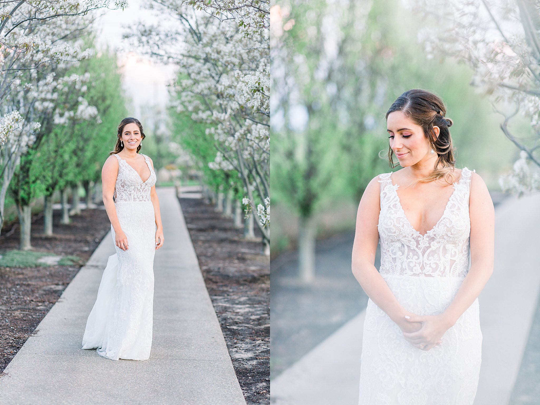 Bride portraits in the cherry blossoms during sunset for Spring Castle Farms wedding.