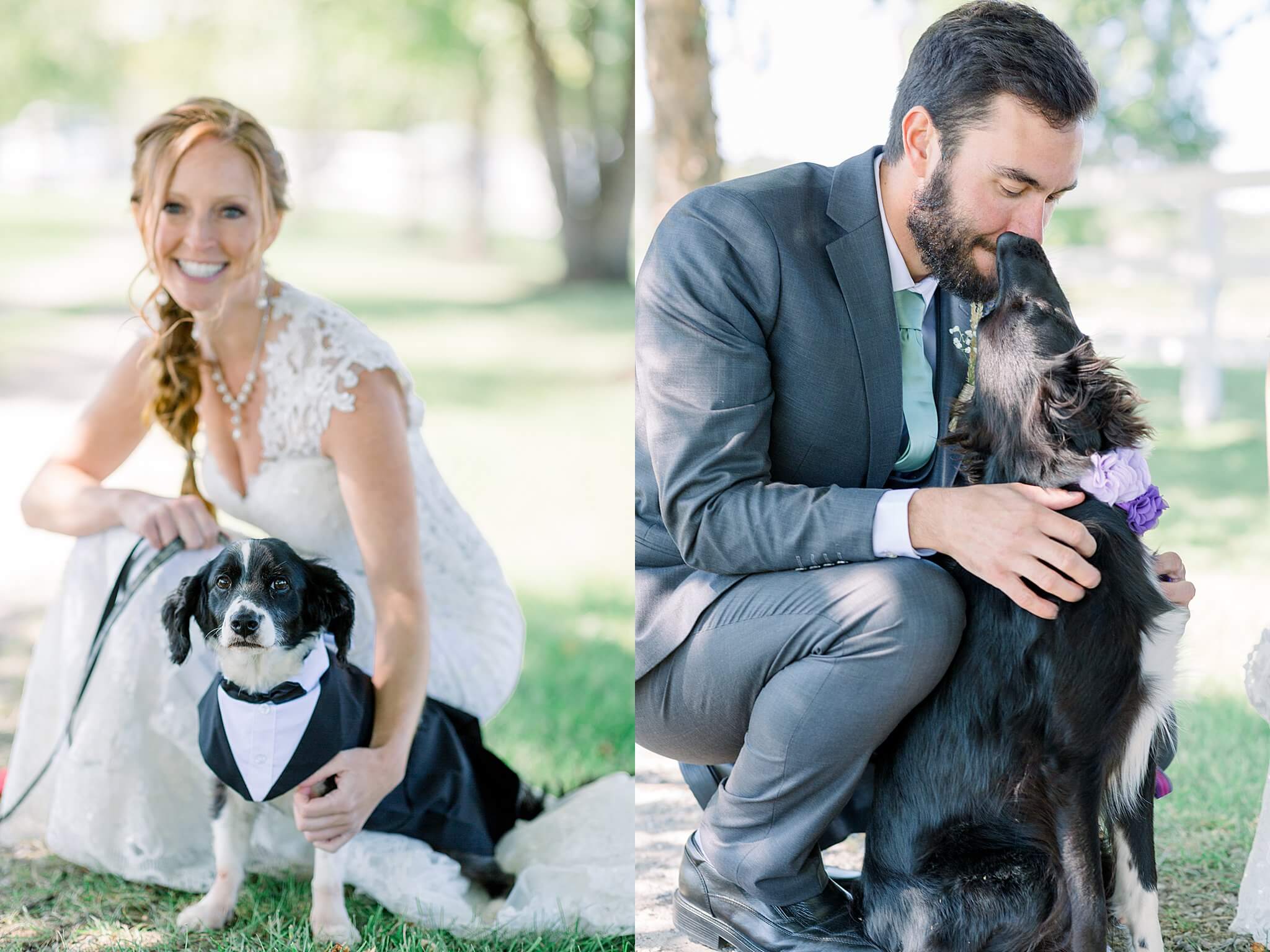 Bride and groom kiss puppies during Crooked Creek Ranch wedding.