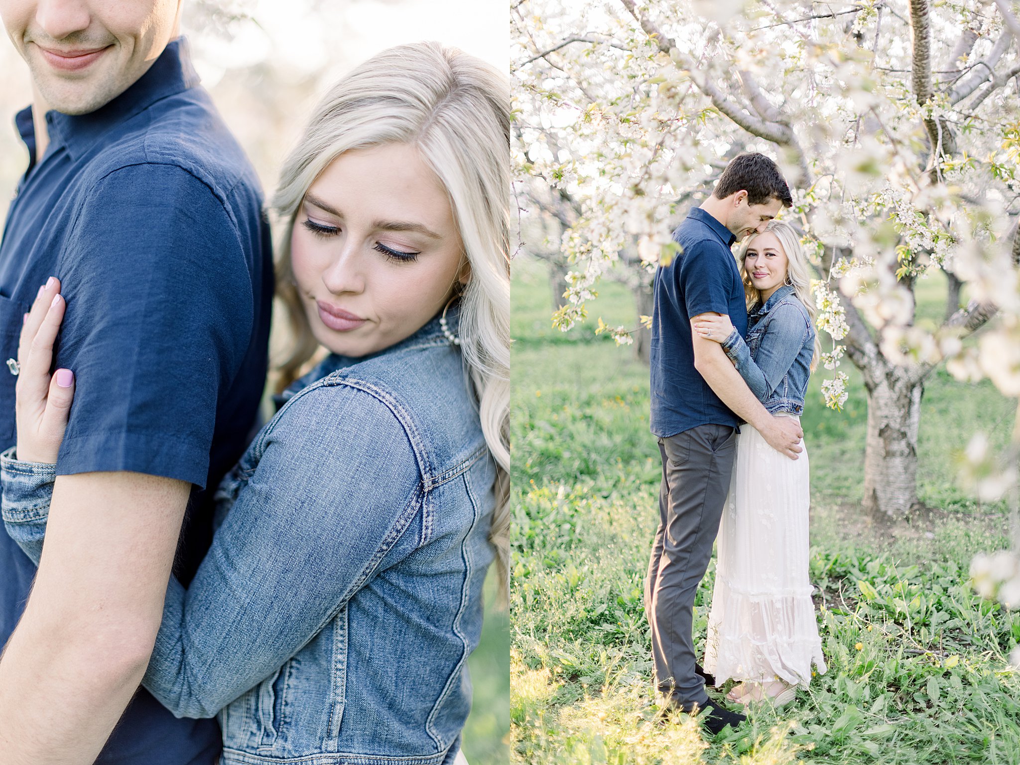 Couple snuggles under cherry tree during their cherry blossom engagement session in Traverse City, Northern Michigan. 