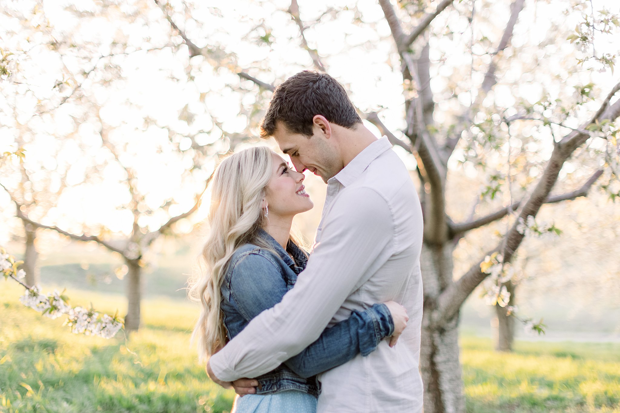 Couple snuggles during their cherry blossom engagement session in Traverse City, Northern Michigan. 