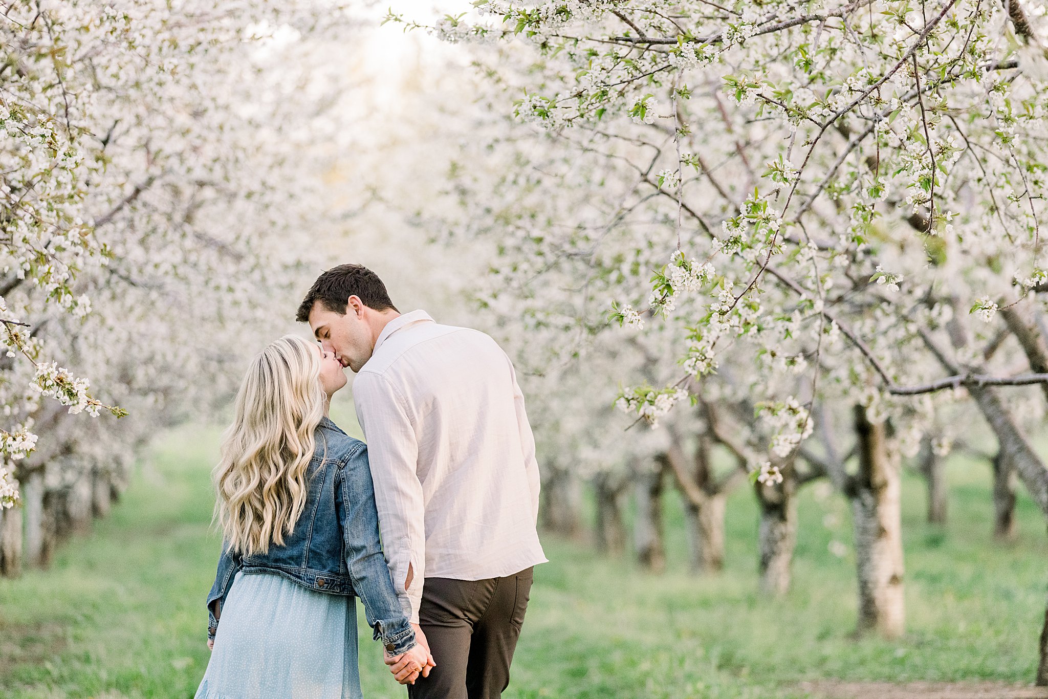 Couple kisses while walking through a see of snow white cherry blossoms their cherry blossom engagement session in Traverse City, Northern Michigan. 