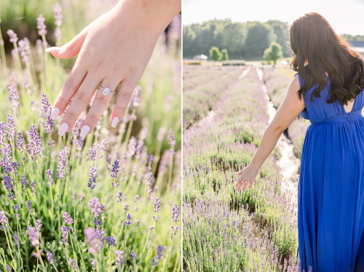 Collage of a detail photo of Lindsey's hand brushing the lavender with her engagement ring and Lindsey walking along the rows of lavender brushing her hand through the buds.