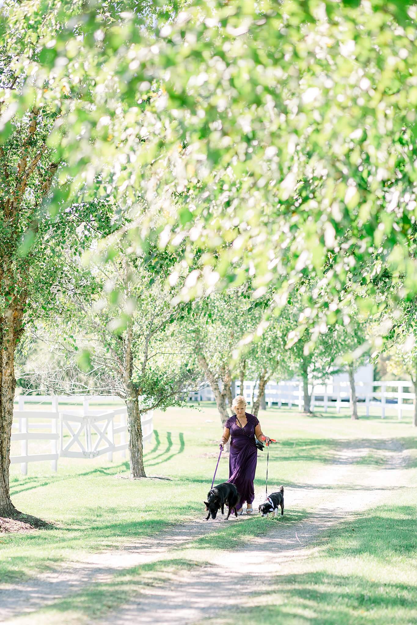 Mother of the bride brings bride and groom's dogs for pictures during Crooked Creek Ranch wedding.